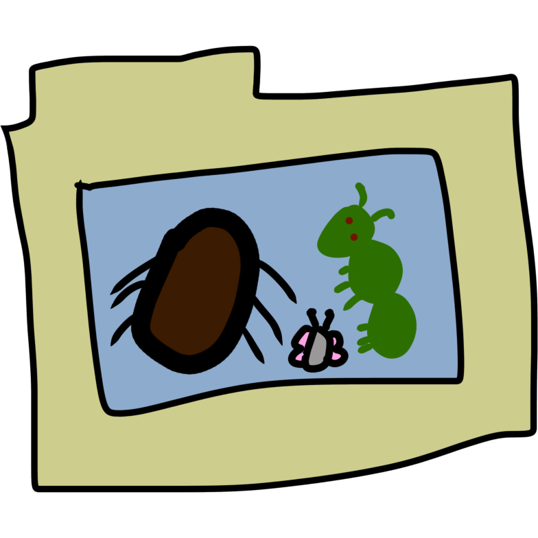 a folder with three bugs: a large brown tick or cockroach like bug, a tiny butterfly with pink wings, and a green caterpillar with beady red eyes. 